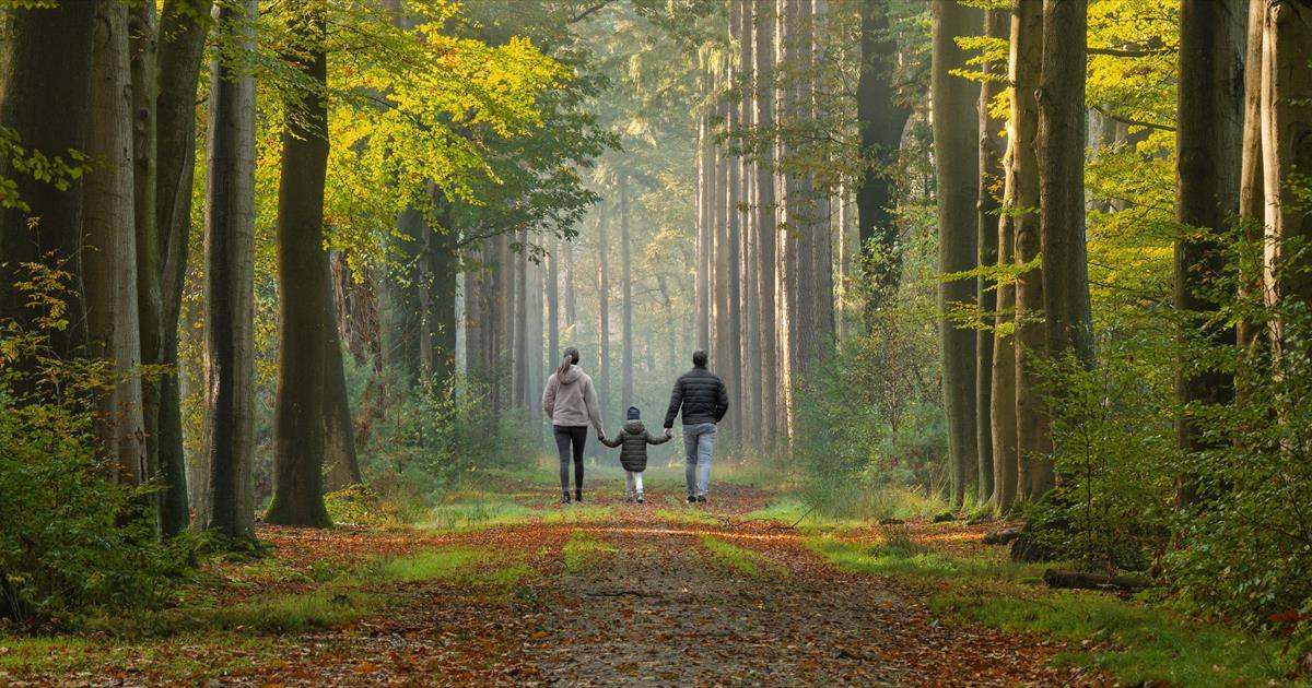 Nature Support Help and support - main
